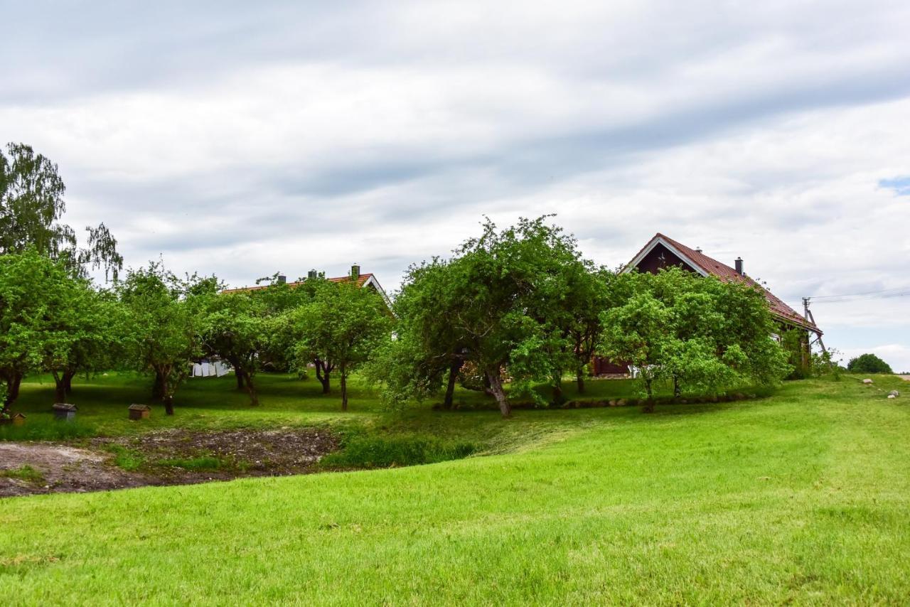 Sunny Beaver B&B Trakai Exterior photo