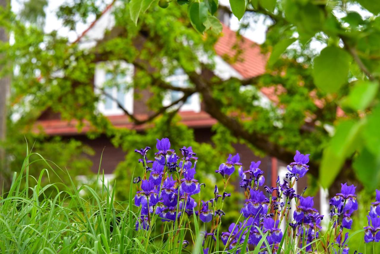 Sunny Beaver B&B Trakai Exterior photo