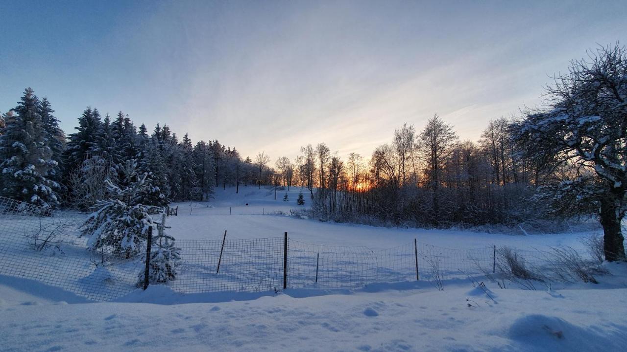 Sunny Beaver B&B Trakai Exterior photo