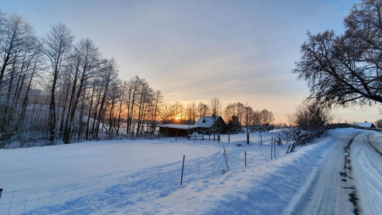 Sunny Beaver B&B Trakai Exterior photo